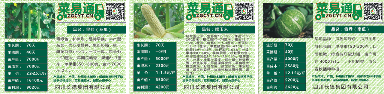 長(zhǎng)德投資集團(tuán)