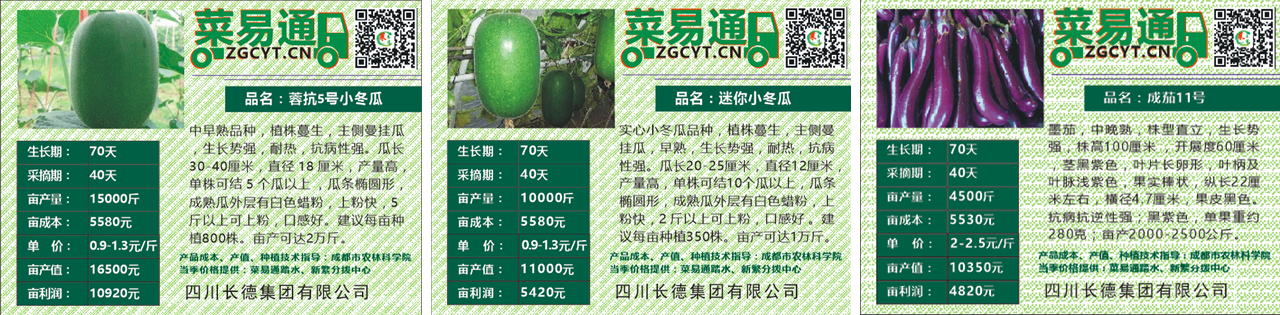 長(zhǎng)德投資集團(tuán)