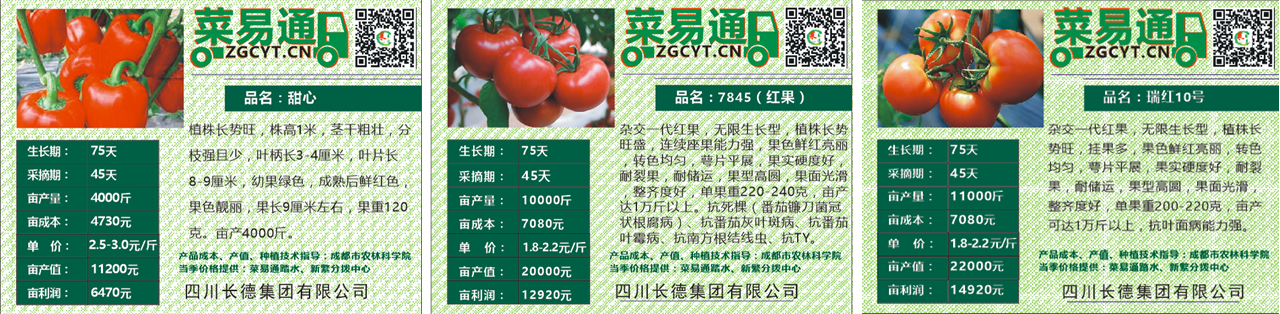 長(zhǎng)德投資集團(tuán)